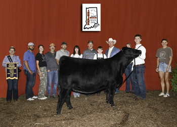 Reserve Grand Champion Female