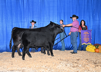 Grand Champion Cow-calf Pair