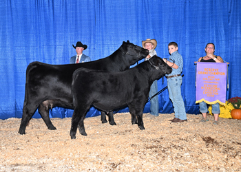 Reserve Grand Champion Cow-calf Pair