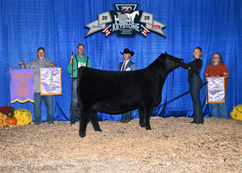Reserve Grand Champion Female