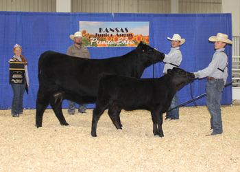 Grand Champion Cow-calf Pair