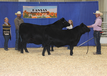 Reserve Grand Champion Cow-calf Pair