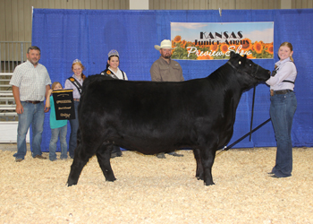 Fifth Overall Bred-and-owned Champion Female