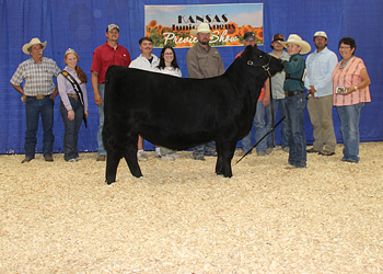 Grand Champion Owned Female