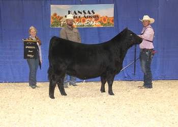 Third Overall Owned Champion Female
