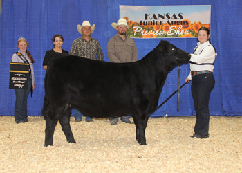 Grand Champion Bred-and-owned Female