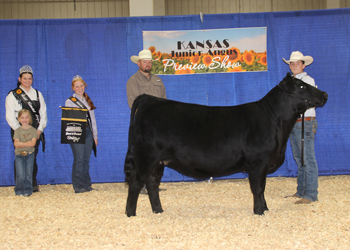 Reserve Grand Champion Bred-and-owned Female