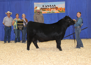 Grand Champion Bred-and-owned Bull