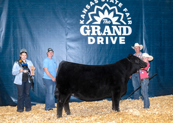 Reserve Grand Champion Steer