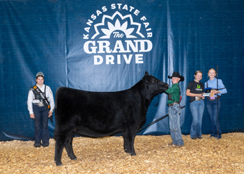 Reserve Grand Champion Female