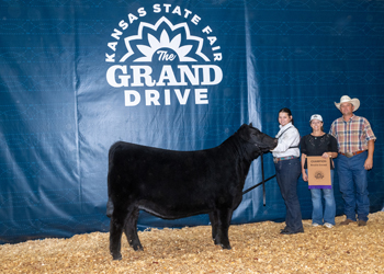 Grand Champion Bred-and-owned Female