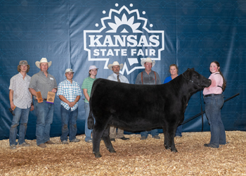 Reserve Grand Champion Female