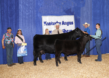 Grand Champion Cow-calf Pair
