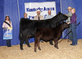 Reserve Grand Champion Cow-calf Pair