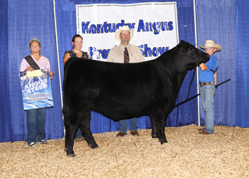 Grand Champion Steer