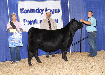 Grand Champion Bred-and-owned Female