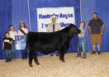 Reserve Grand Champion Bred-and-owned Bull
