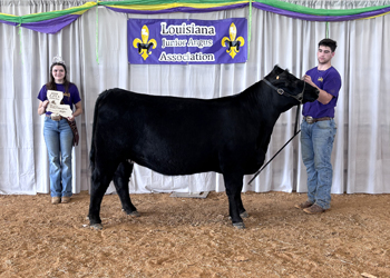 Reserve Grand Champion Bred-and-owned Female
