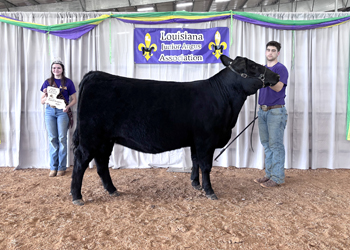 Reserve Grand Champion Owned Female