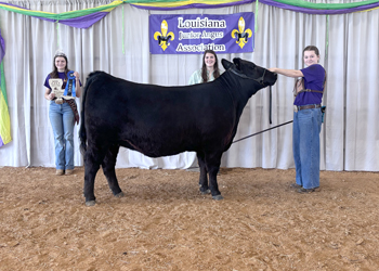Reserve Grand Champion PGS Female