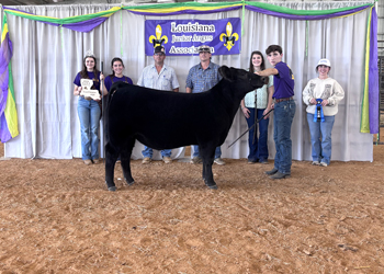 Grand Champion Owned Female