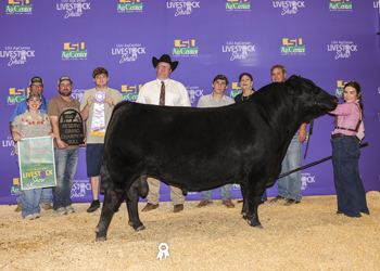 Reserve Grand Champion Owned Bull