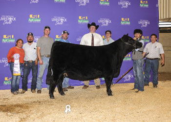 Reserve Grand Champion Bred-and-owned Female