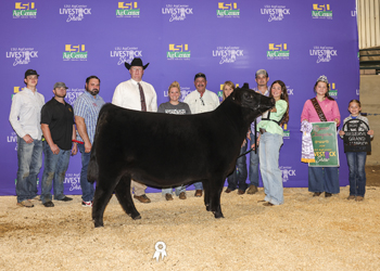 Reserve Grand Champion Owned Female