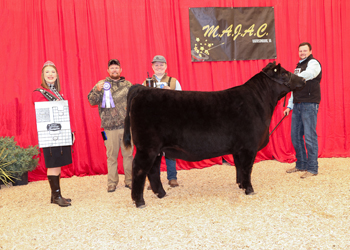 Owned Intermediate Champion Heifer