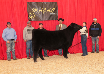 Owned Senior Heifer Calf Champion