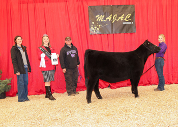 PGS Reserve Heifer Division 4