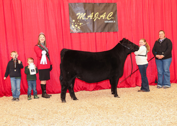 Bred-and-owned Reserve Senior Heifer Calf Champion