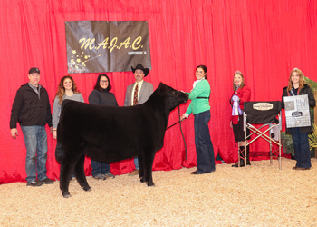 Grand Champion Bred-and-owned Female