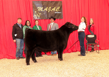 Reserve Grand Champion Steer