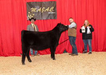 Owned Reserve Summer Heifer Calf Champion