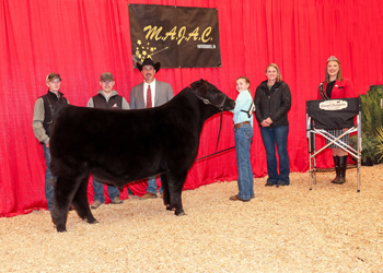 Grand Champion Bred-and-owned Steer