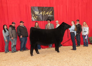 Owned Junior Heifer Calf Champion Div 2