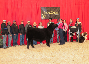 Grand Champion Owned Female
