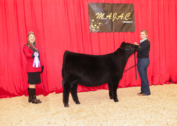 Bred-and-owned Summer Heifer Calf Champion