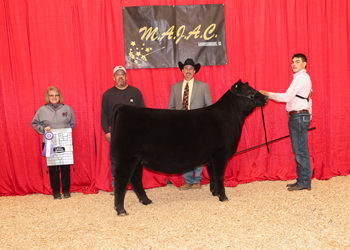 Owned Summer Heifer Calf Champion