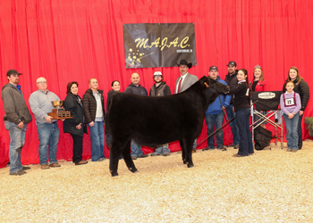 Grand Champion Steer