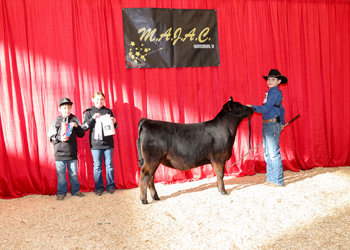 Bred-and-owned Reserve Fall Heifer Calf Champion