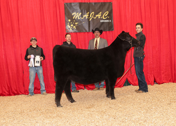 Owned Reserve Junior Heifer Calf Champion Div 2