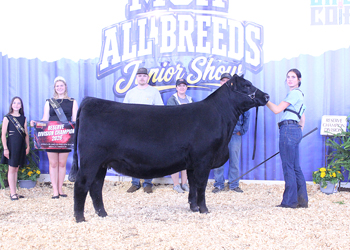 Owned Reserve Senior Champion Female