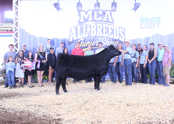 Grand Champion Owned Female