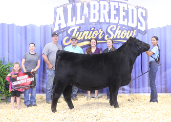 Bred-and-owned Senior Champion Female