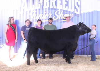 Reserve Jackpot Champion Steer