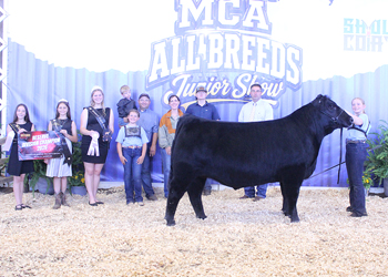 Reserve Grand Champion Steer