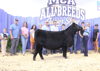 Grand Champion Bred-and-owned Female