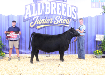 Bred-and-owned Reserve Intermediate Champion Heifer